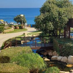 Capo Bay Beach Hotel Gardens